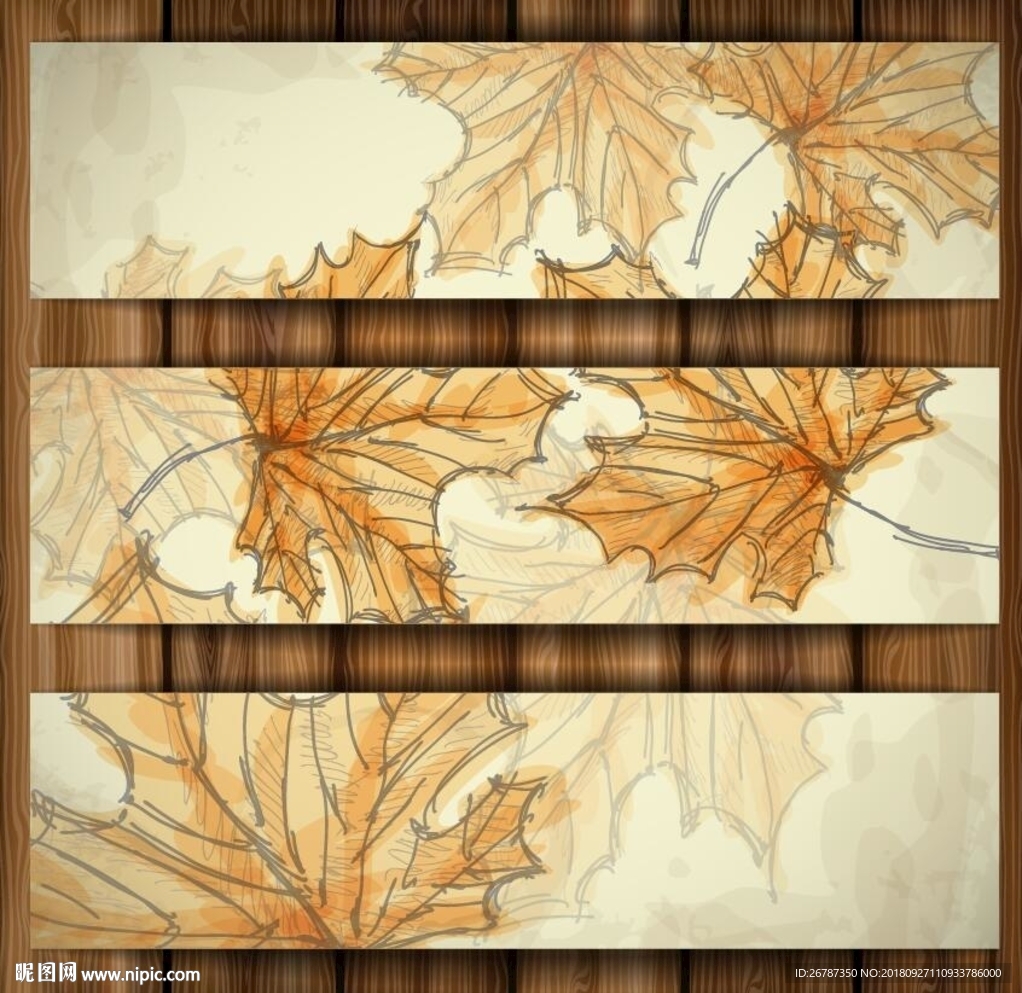 手绘法国梧桐叶片