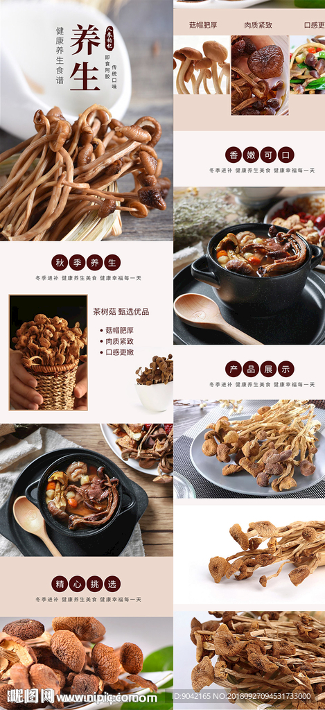 淘宝茶树菇详情页细节描述图