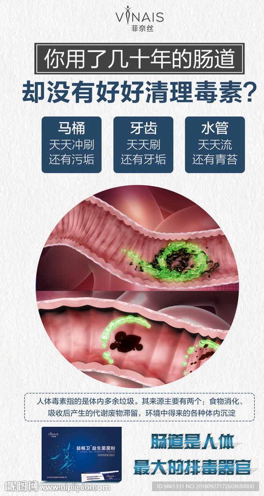 好好清理肠道毒素海报