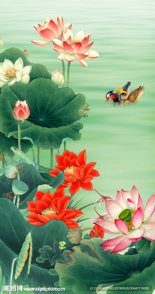 荷花玄关