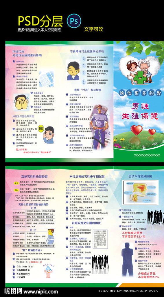 男性保健三折页