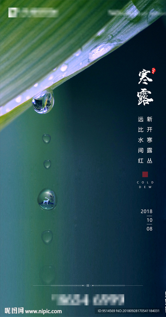 高端寒露节气