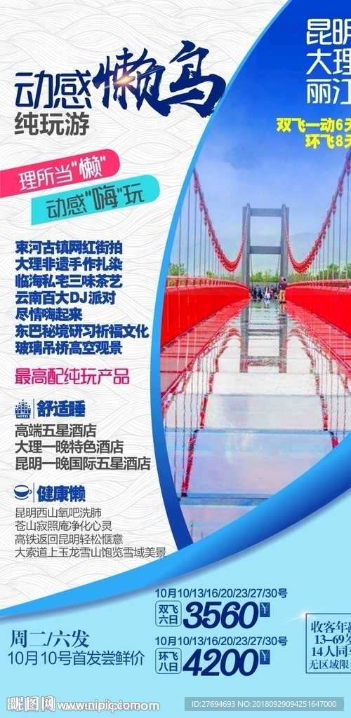 动感懒鸟