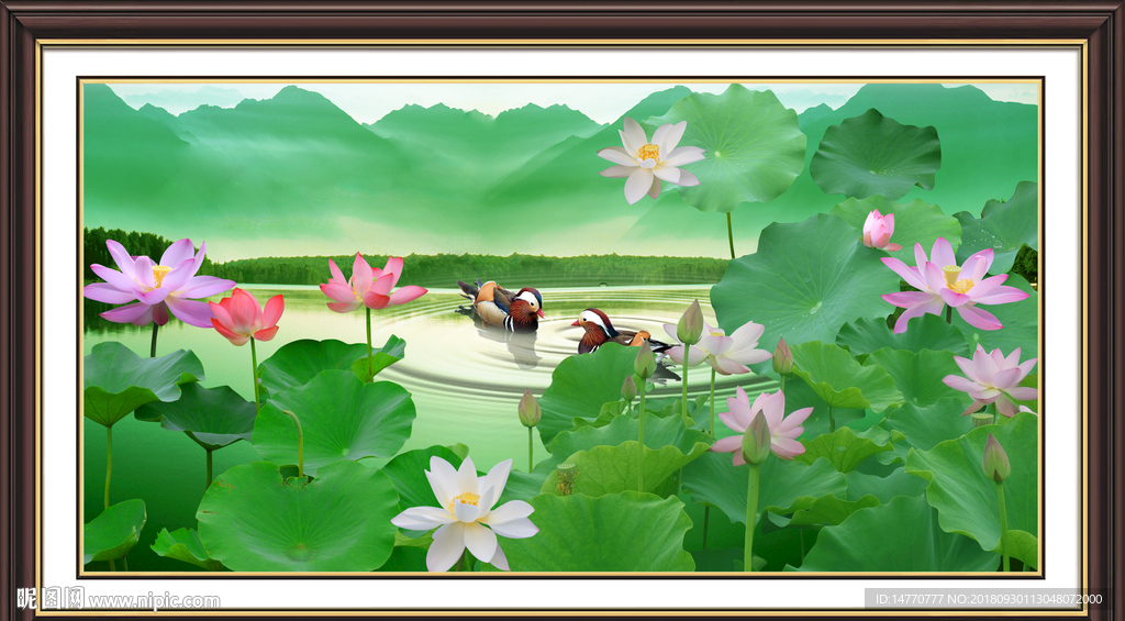 国画荷花