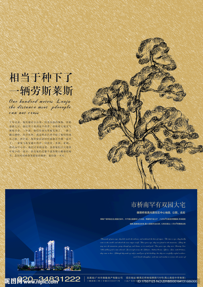 松树 素描 罗汉松 画册 折页