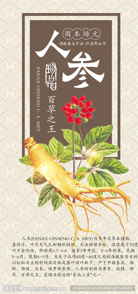 人参挂画海报背景墙