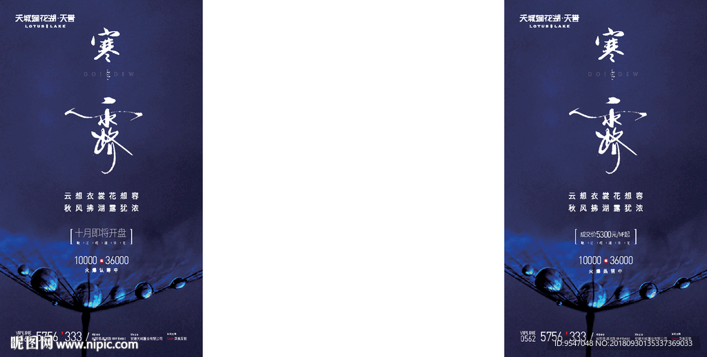 寒露 字体设计 露珠 荷叶蓝色