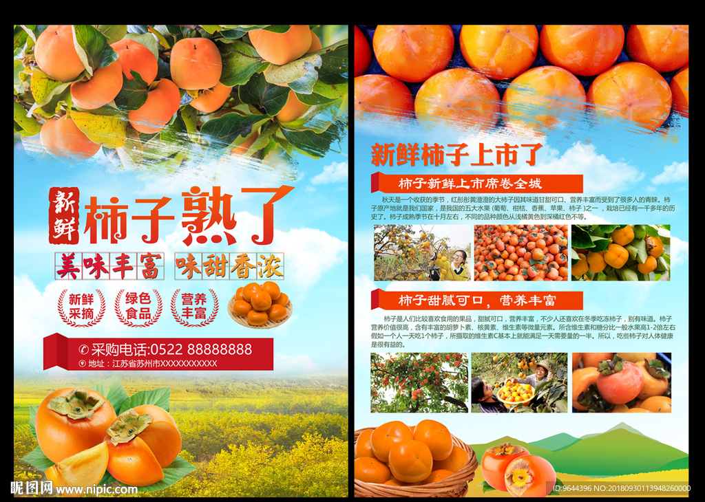 柿子单页