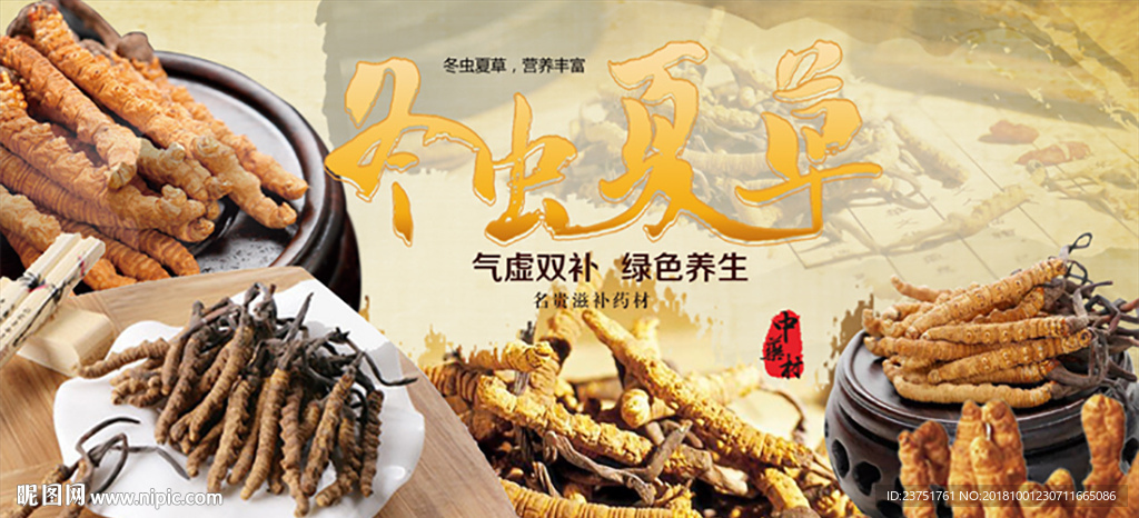 冬虫夏草补品
