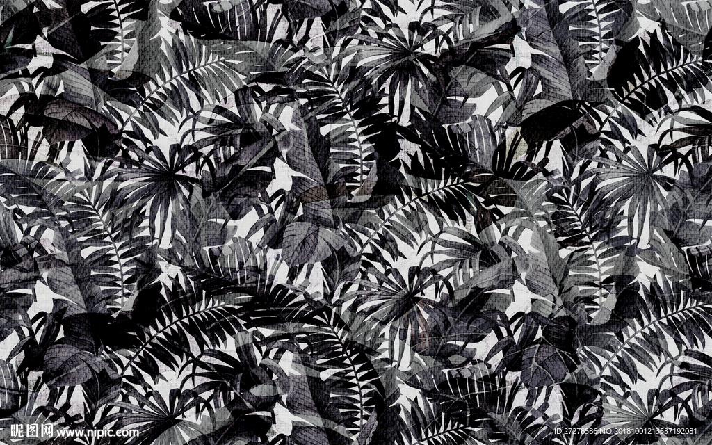 热带植物背景 手绘植物