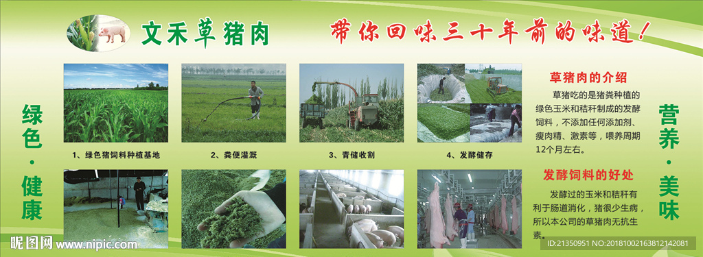 文禾草猪肉KT板