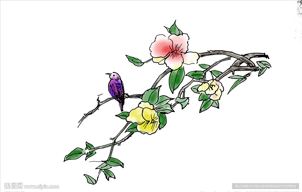 花鸟