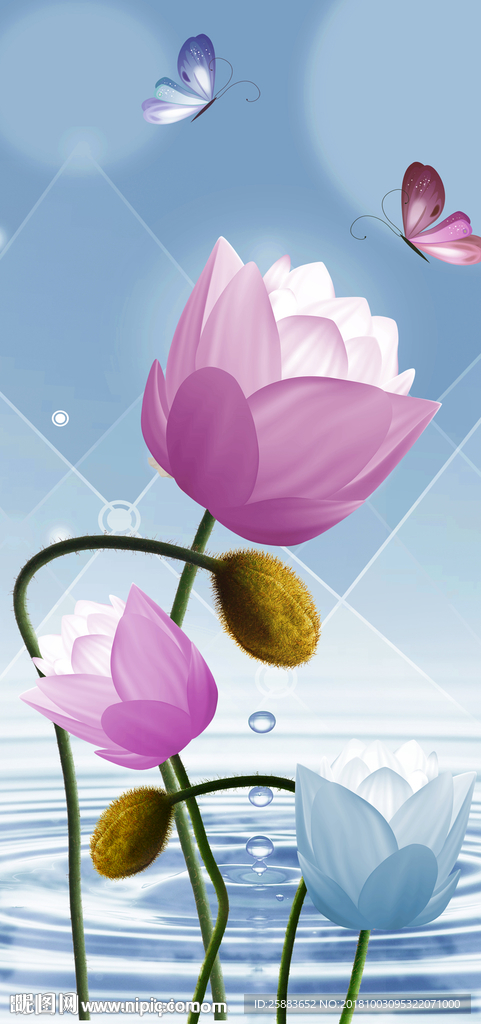 高清时尚莲花3D玄关背景