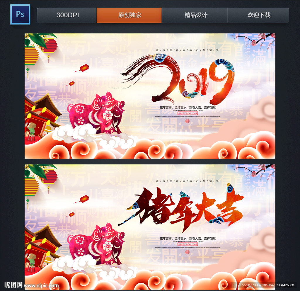 2019 猪年