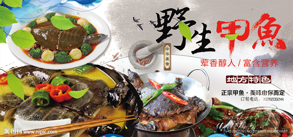 甲鱼