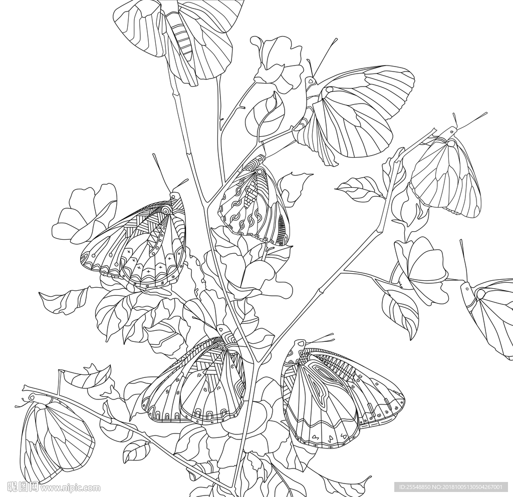蝴蝶画