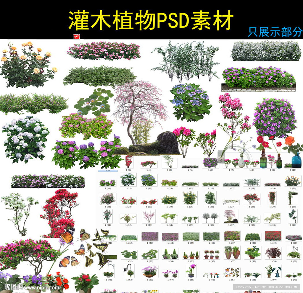 灌木psd素材