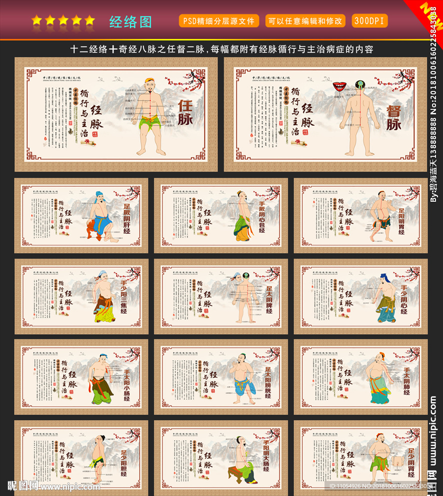经络图