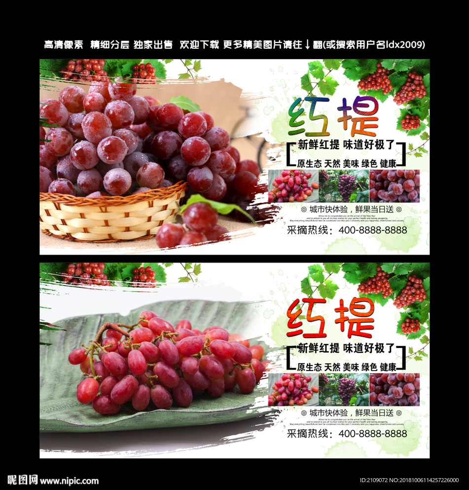 红提