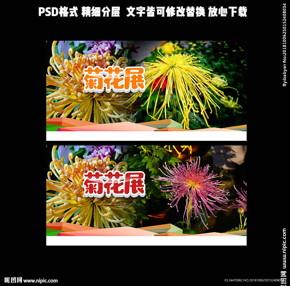 菊花展
