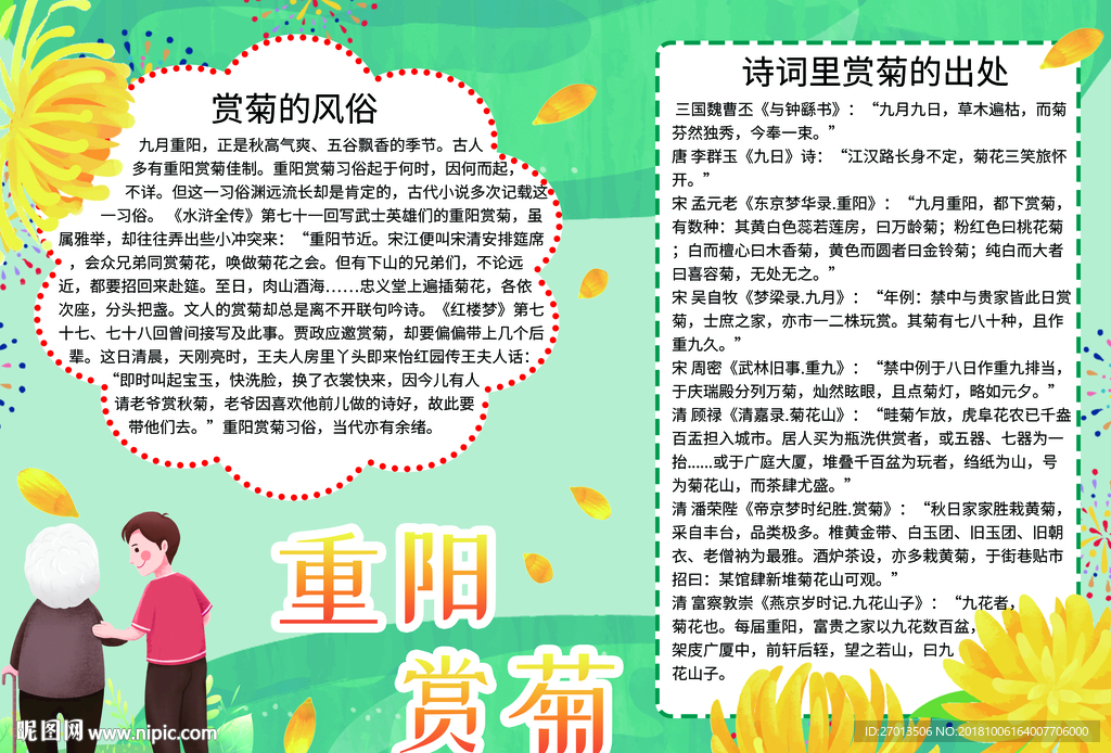 重阳赏菊