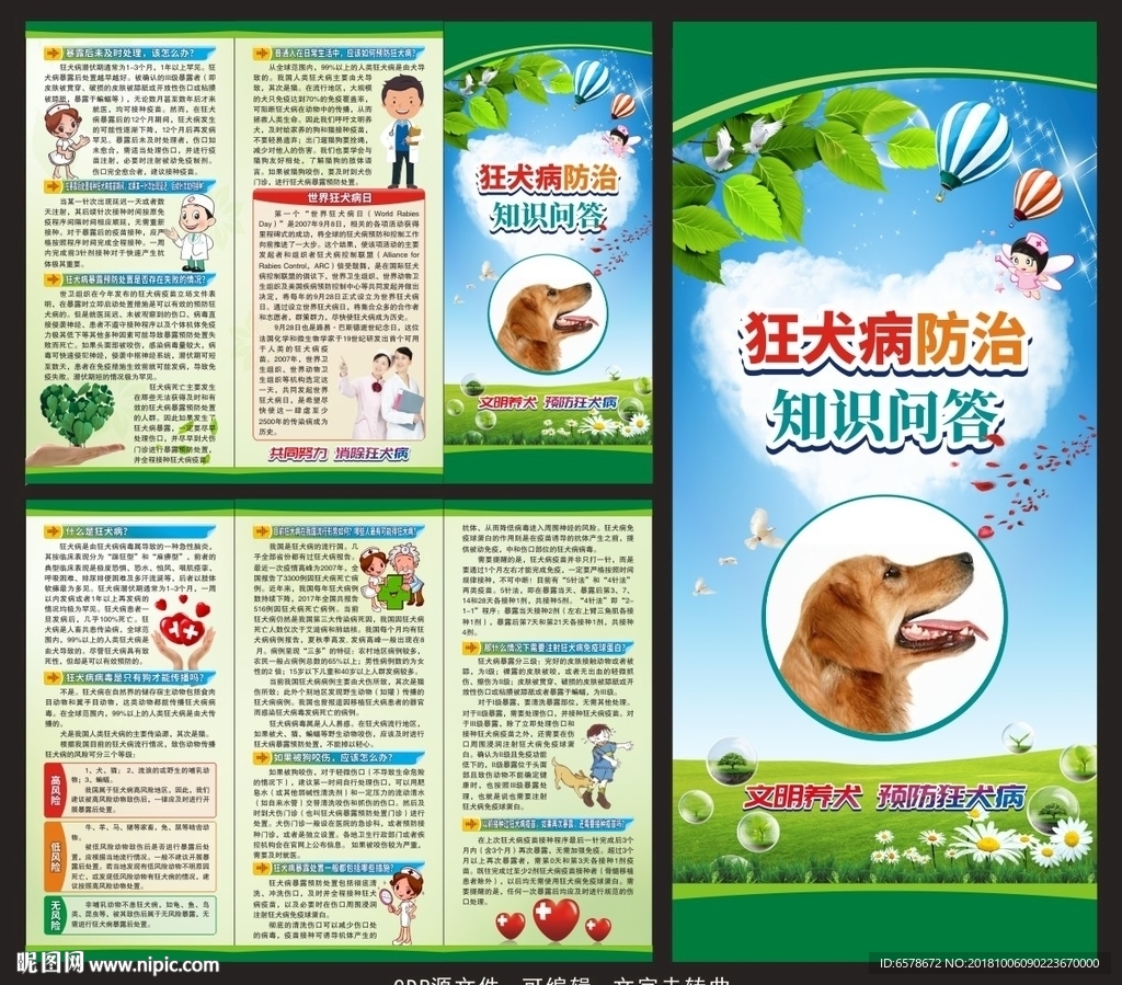 预防狂犬病三折页
