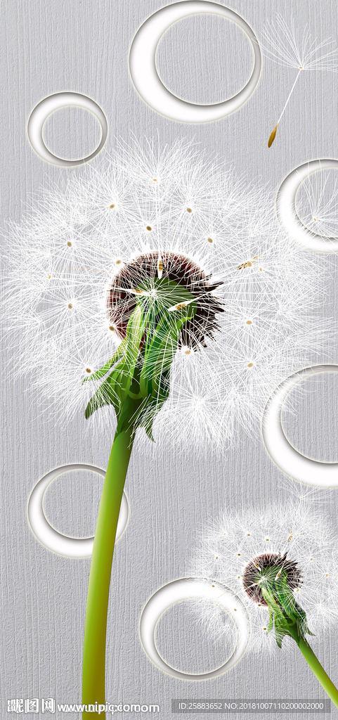 时尚蒲公英玄关背景