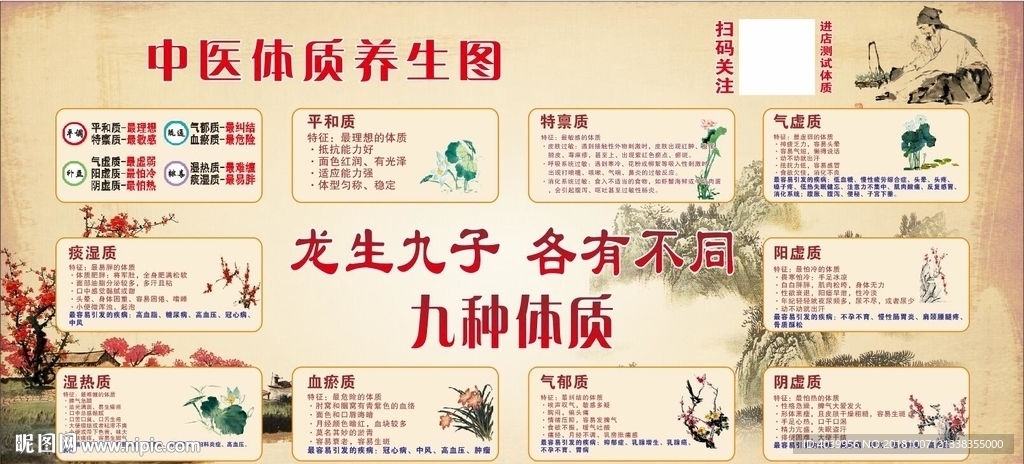 中医体质养生图