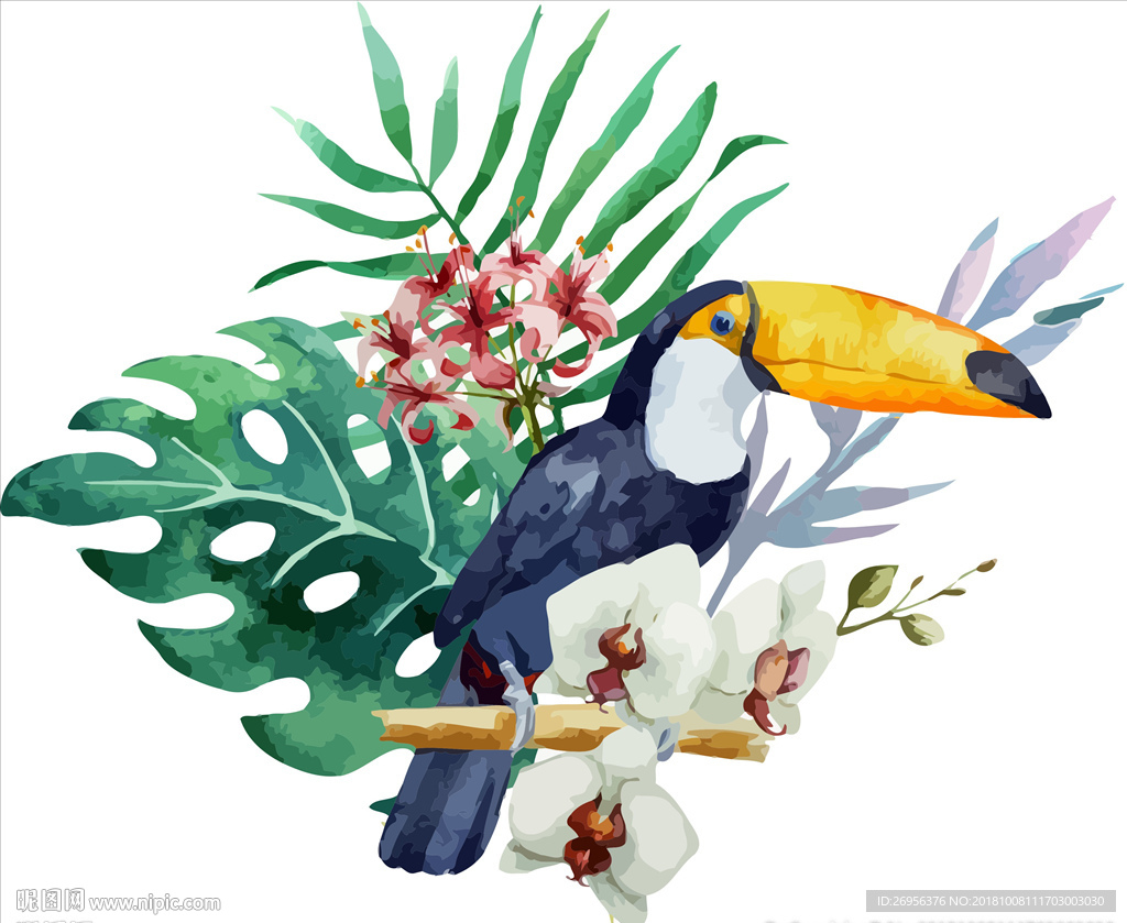 鹦鹉 动物 芭蕉叶 可爱卡通
