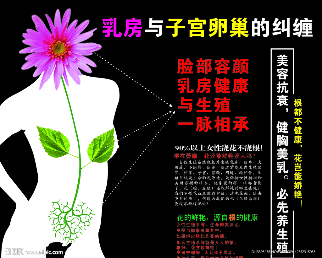 乳房与子宫