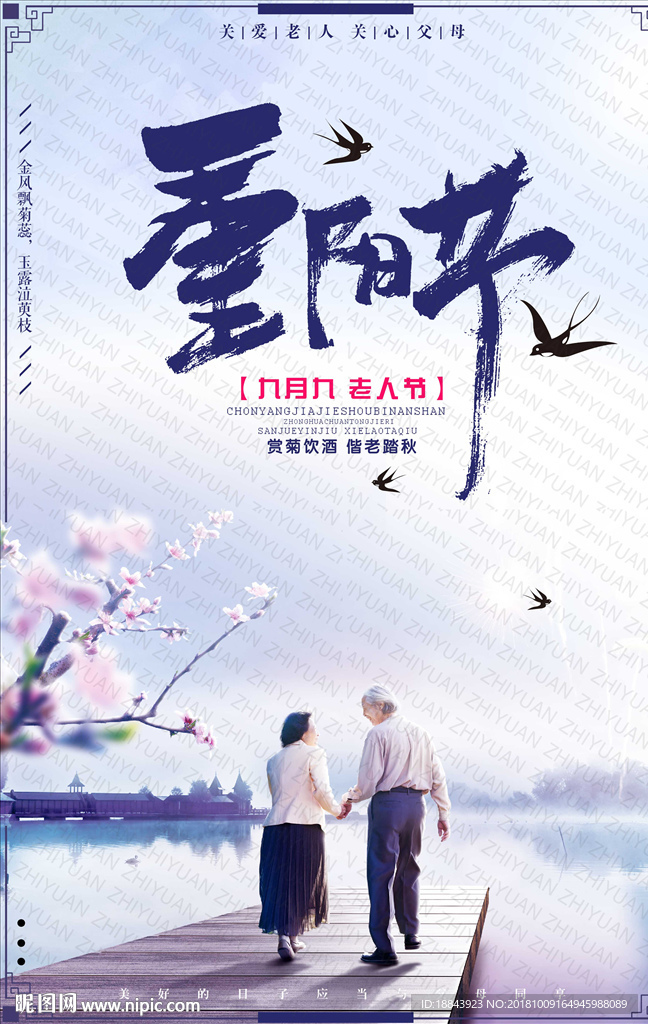 传统重阳节老年节节日宣传海报
