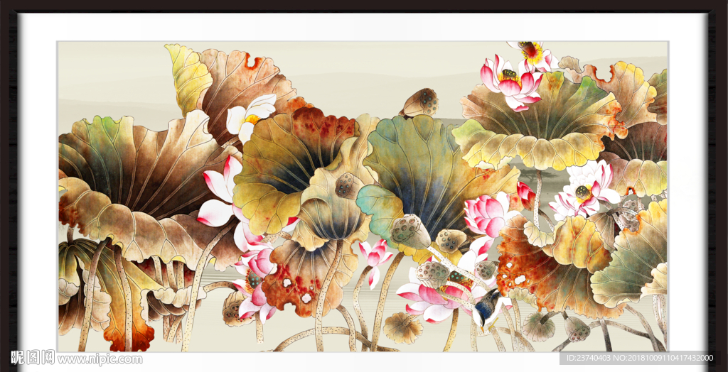 国画荷花