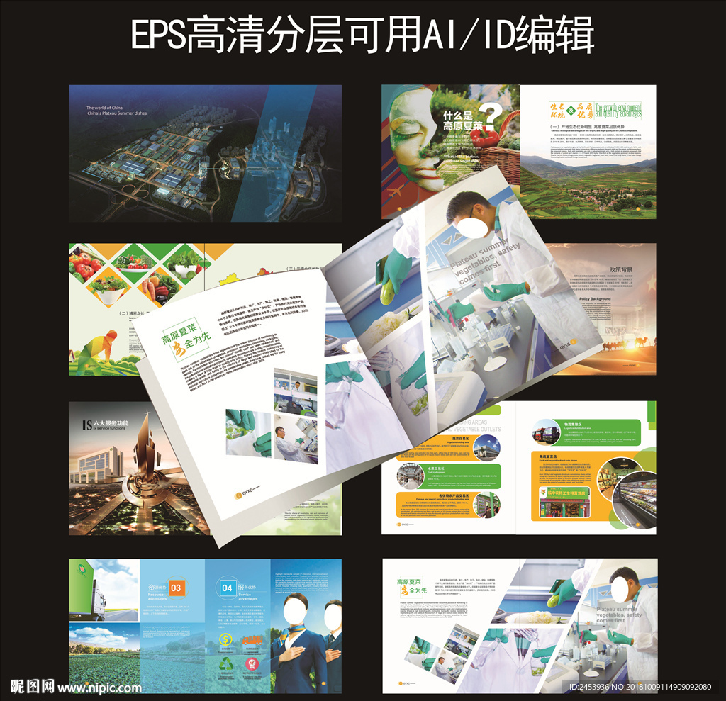蔬菜类画册设计