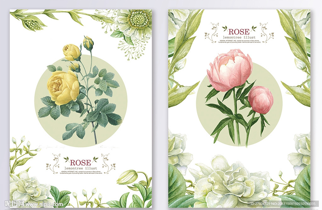 清新植物花卉装饰画