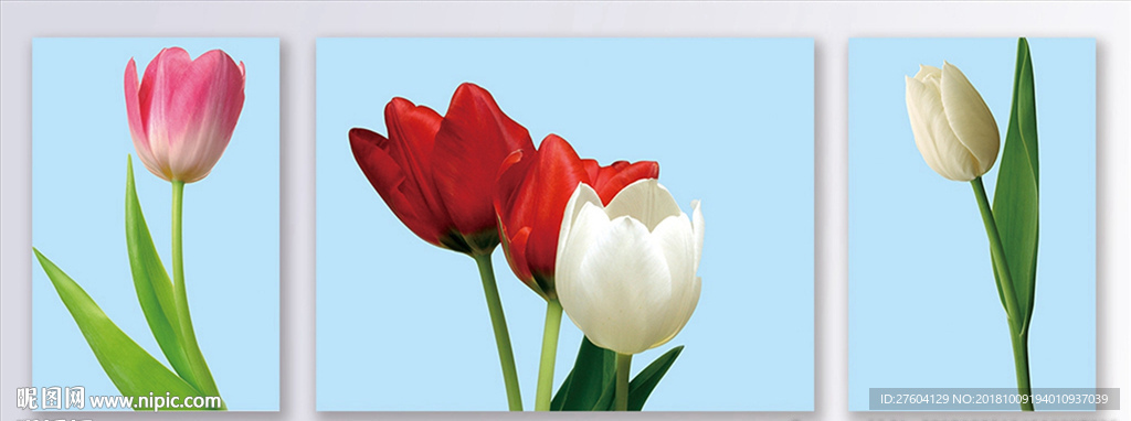 清新郁金香装饰画