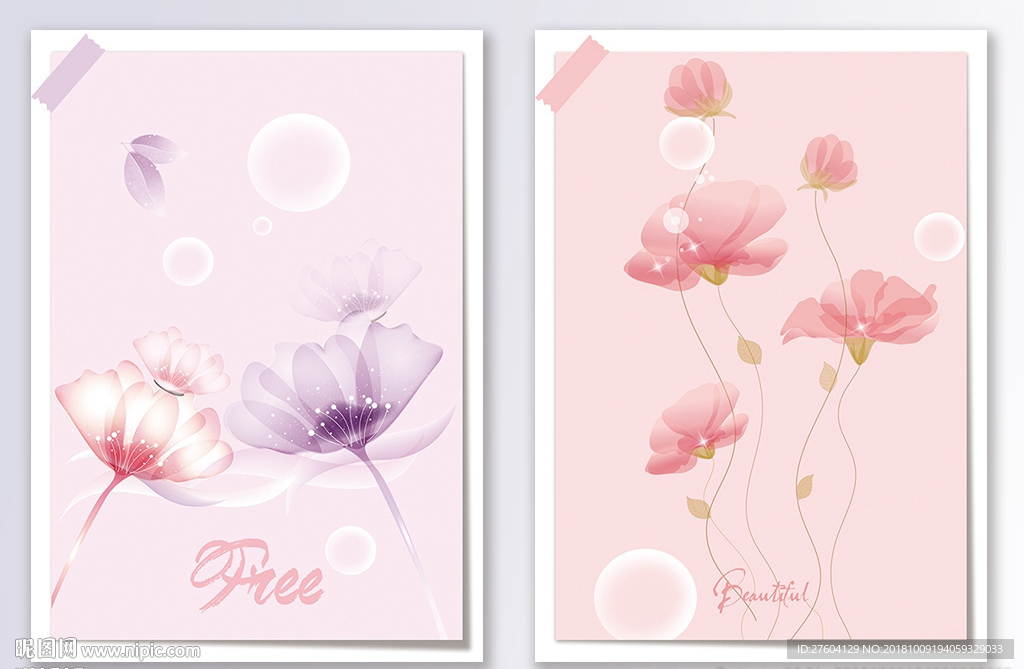 清新植物花卉装饰画