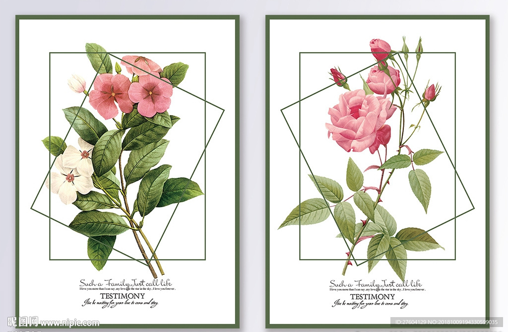 清新植物花卉装饰画