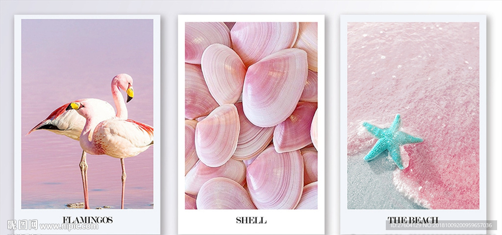 时尚粉色简约火烈鸟贝壳装饰画