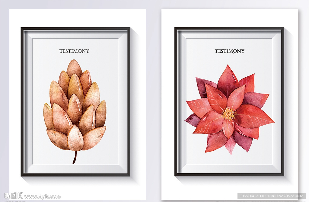 极简植物花卉装饰画