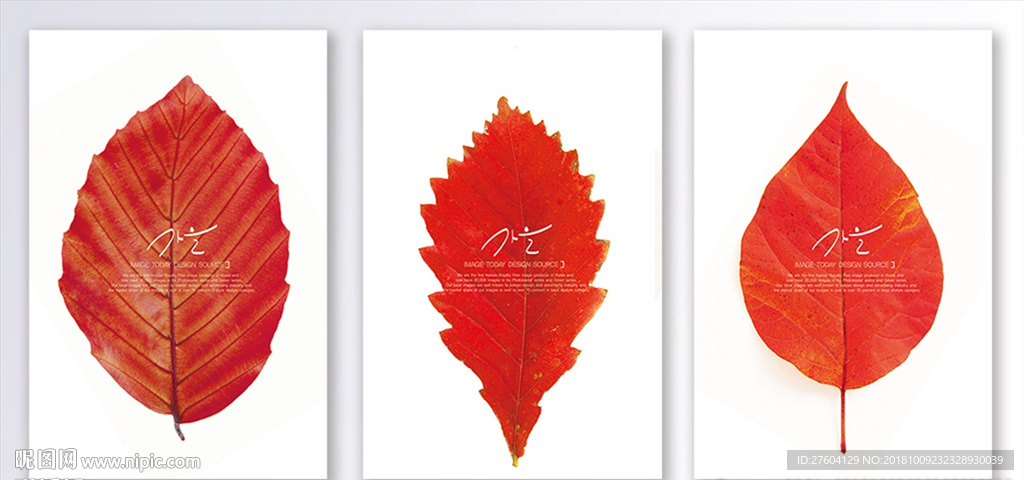 红色树叶装饰画