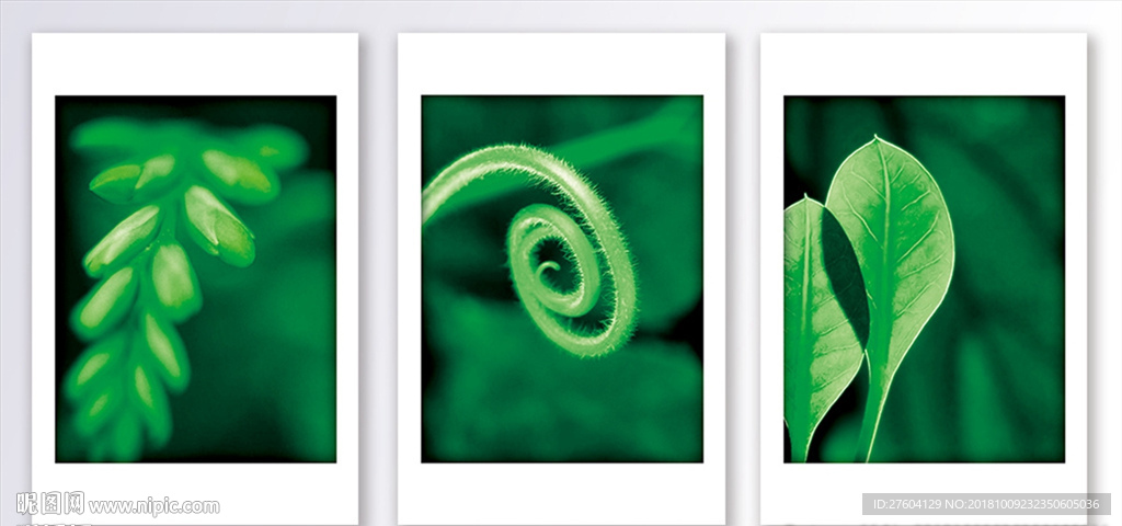 简洁绿色植物装饰画