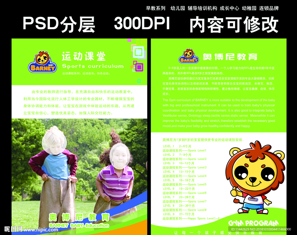 早教课程宣传单