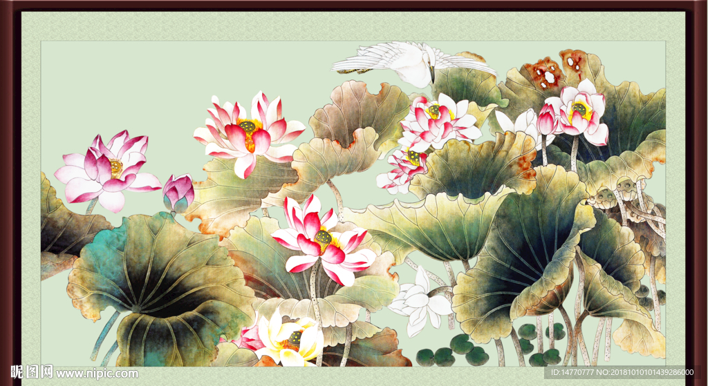 国画荷花