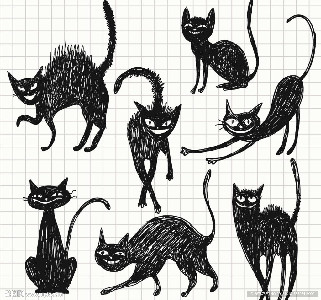 插画猫