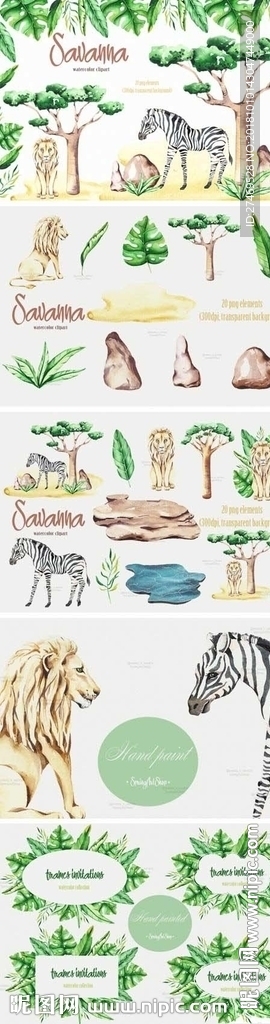手绘水彩植物动物