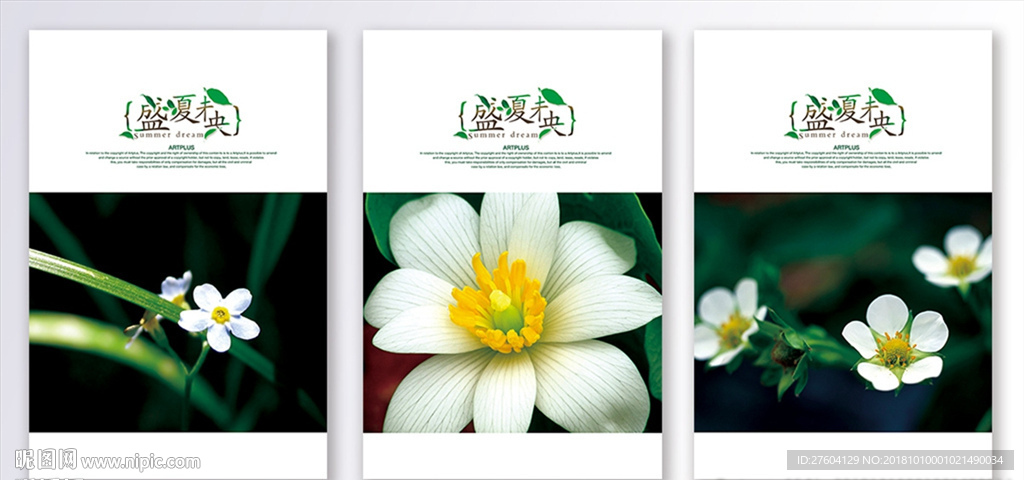 清新简洁植物花卉装饰画