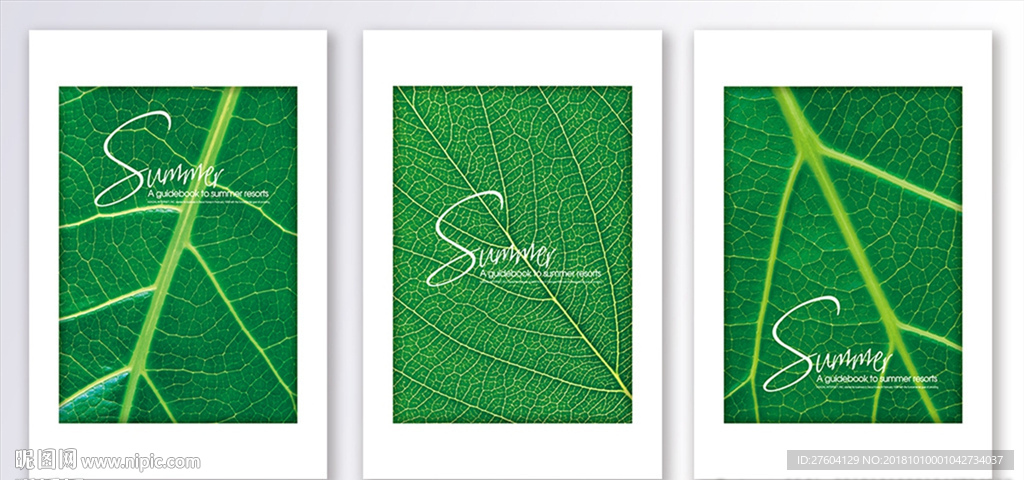 清新绿色树叶装饰画