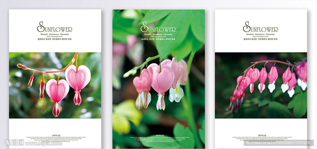 清新绿植花卉装饰画