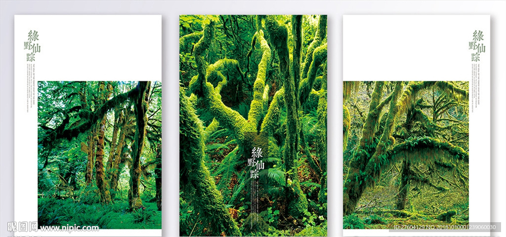 清新森林装饰画