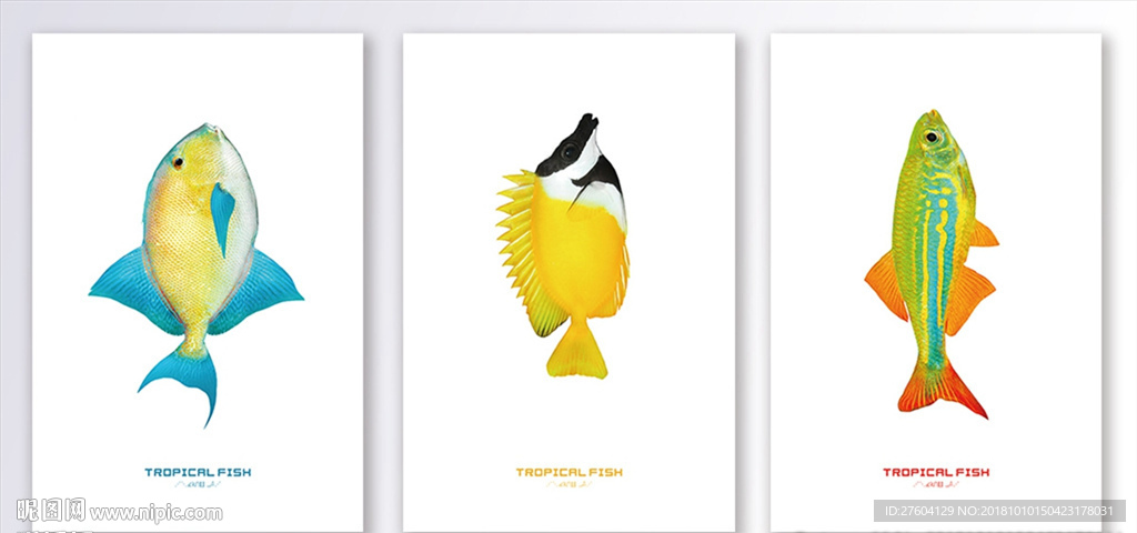 清新热带鱼动物装饰画